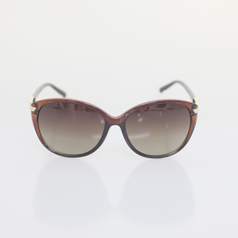 YZ-5498-1J PC sunglasses 2021 Vintage Lenses Color Plastic Frame Sunglasses 2019