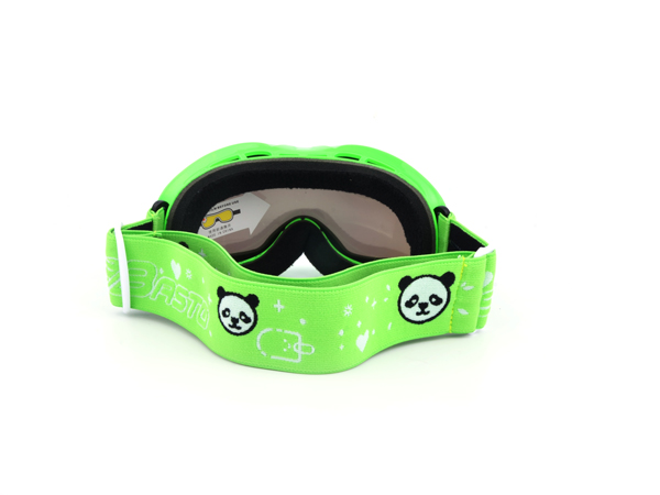 Ski Goggles SG-1619-C2